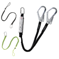 Lanyard with carabiner